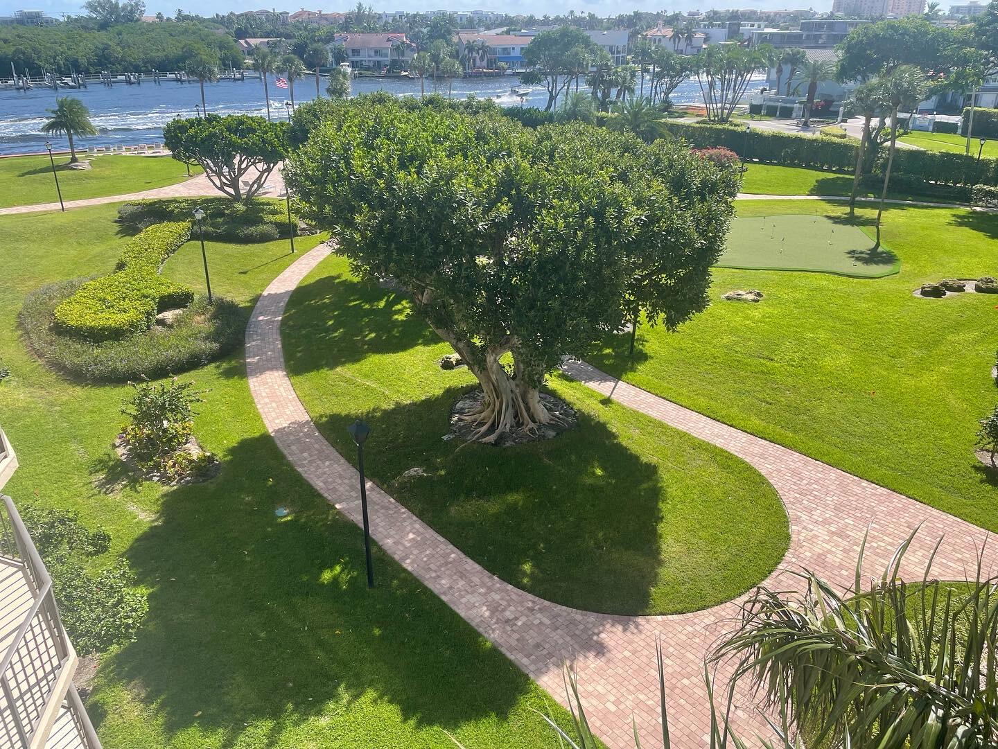 899 Jeffery Street, Unit 503 Boca Raton, FL 33487 - Photo 15 of 27 View from Porta Bella E-503