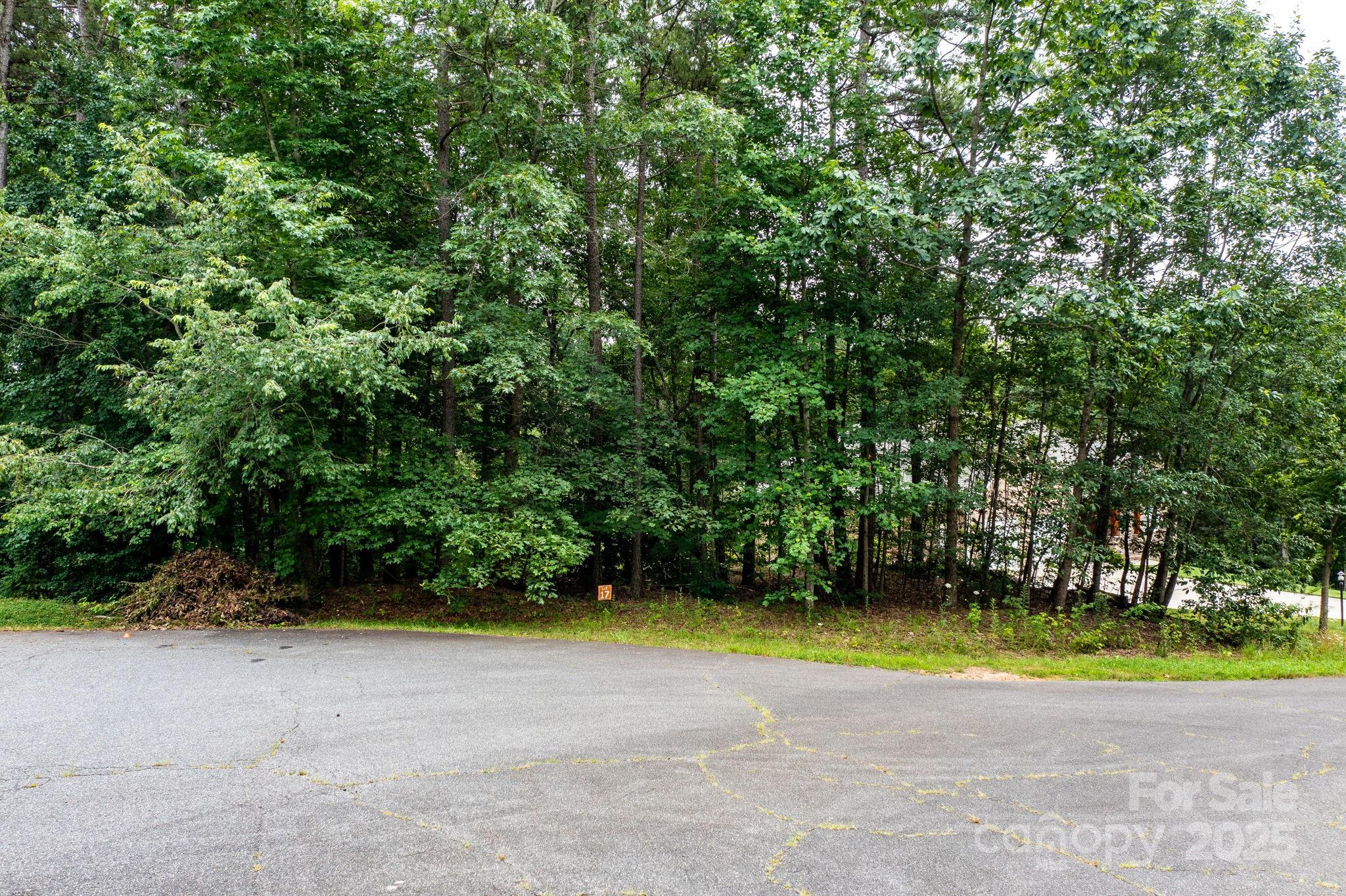 351 I-40 Access Road Hildebran, NC 28637 - Photo 15 of 36