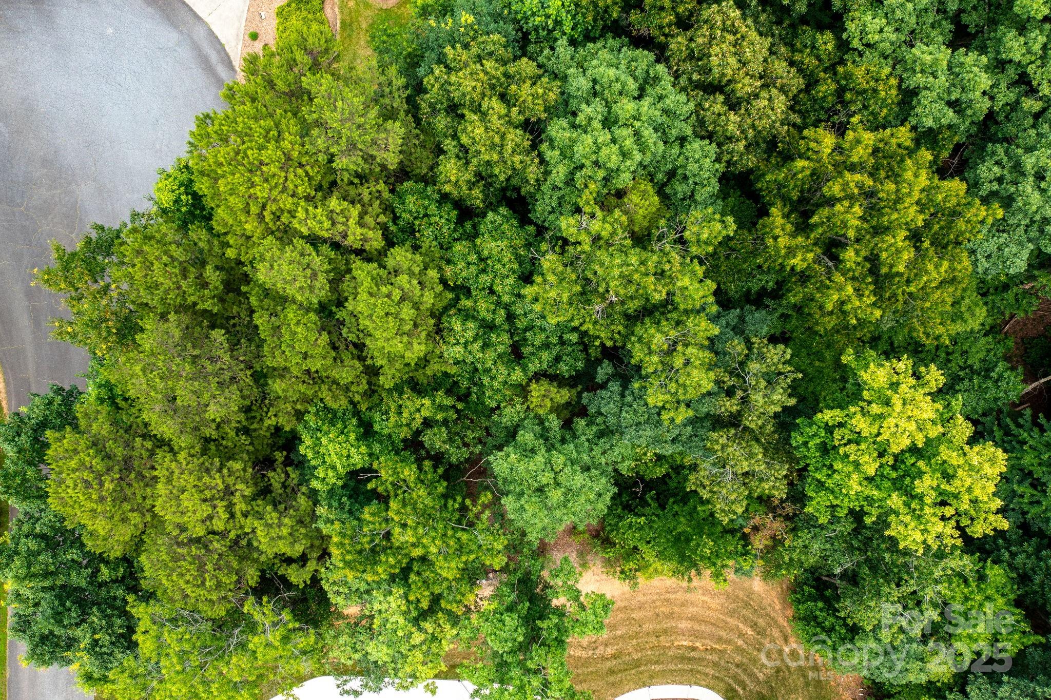 351 I-40 Access Road Hildebran, NC 28637 - Photo 16 of 36