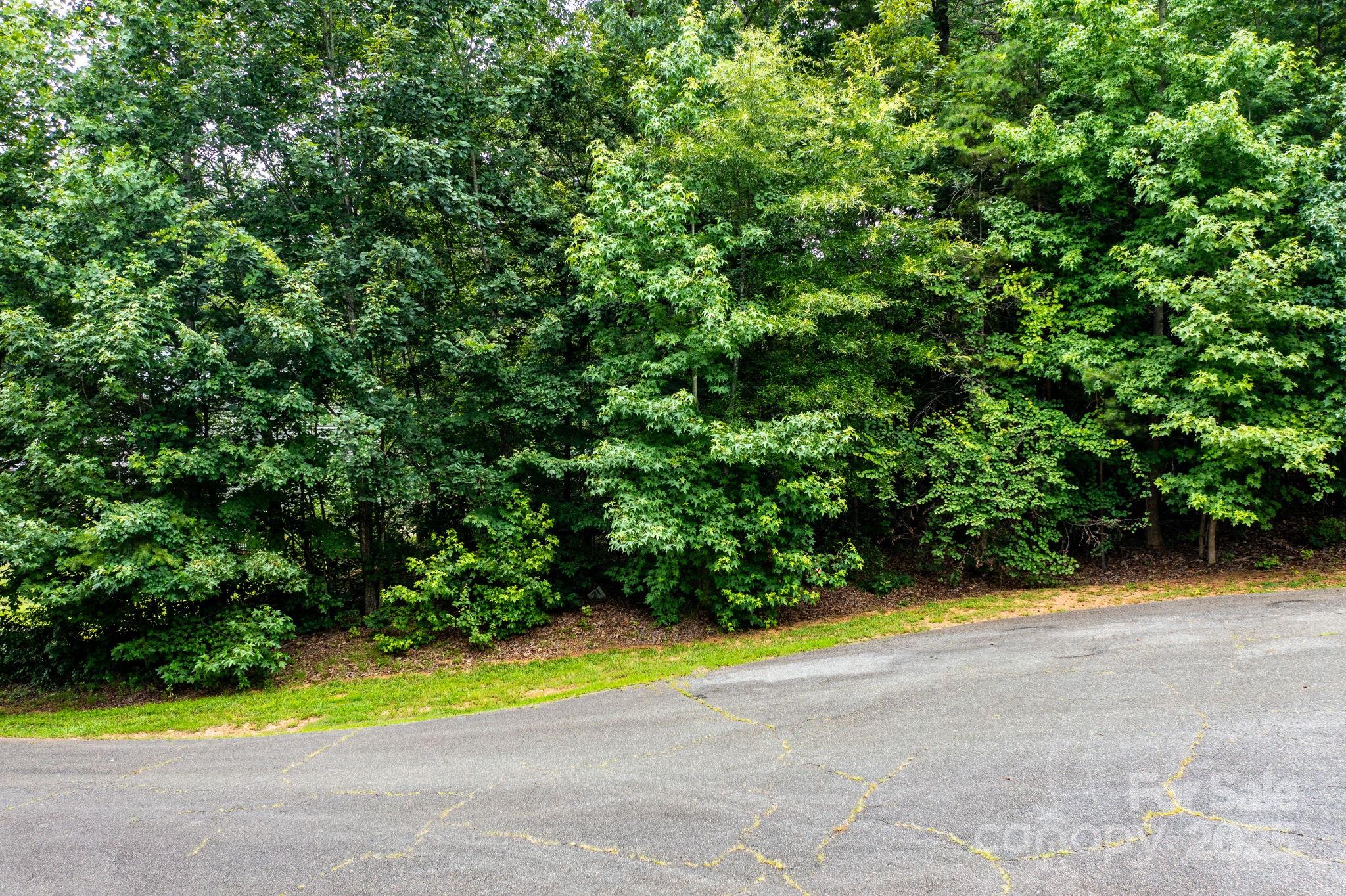 351 I-40 Access Road Hildebran, NC 28637 - Photo 21 of 36 a view of an outdoor space and a yard