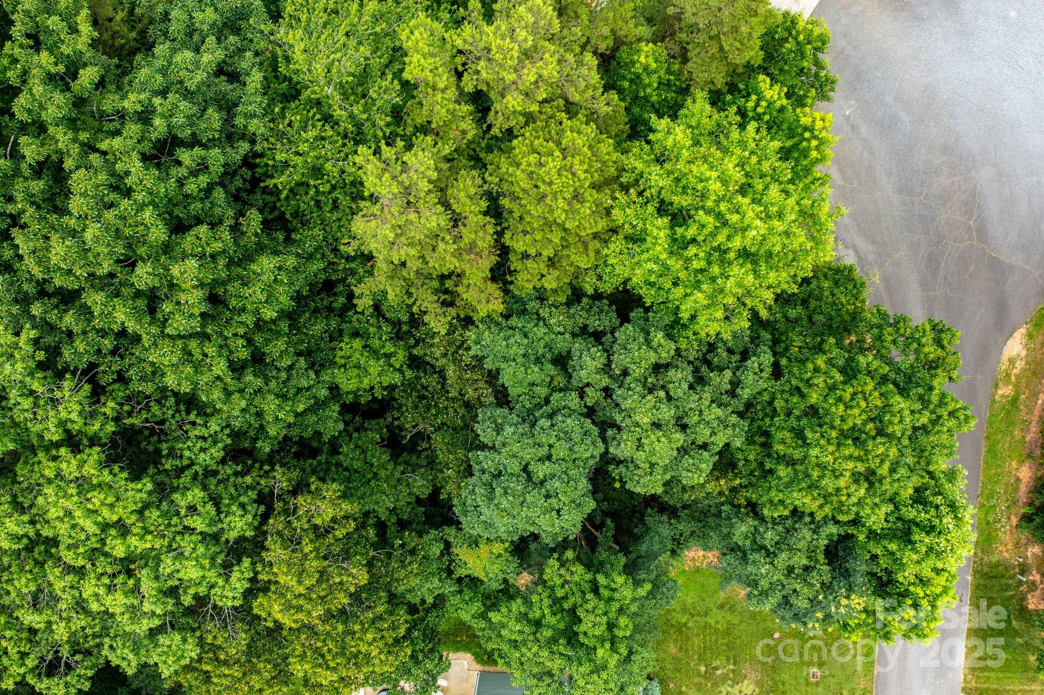 351 I-40 Access Road Hildebran, NC 28637 - Photo 22 of 36 a view of a lush green forest