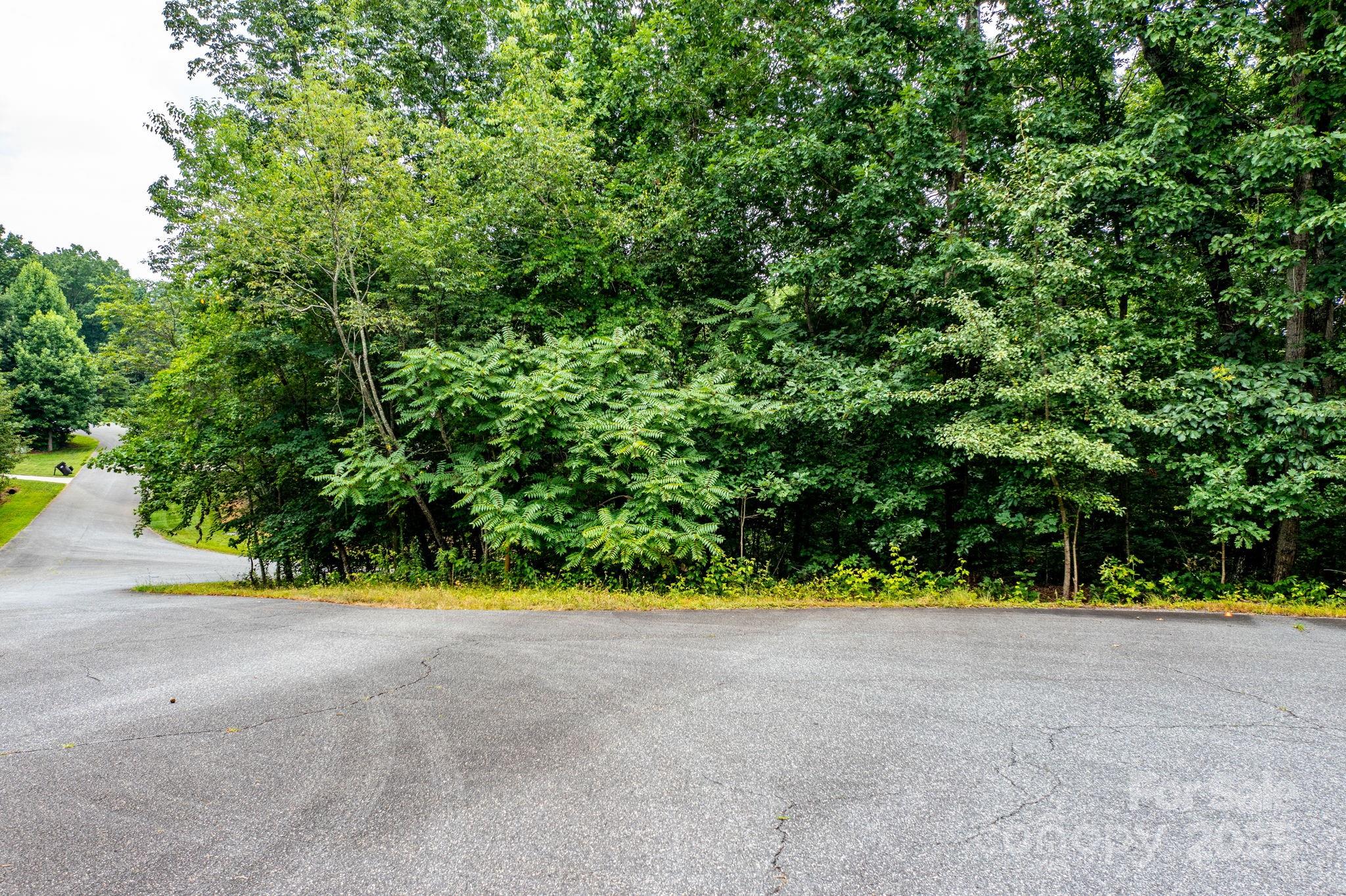 351 I-40 Access Road Hildebran, NC 28637 - Photo 23 of 36 a view of outdoor space and yard