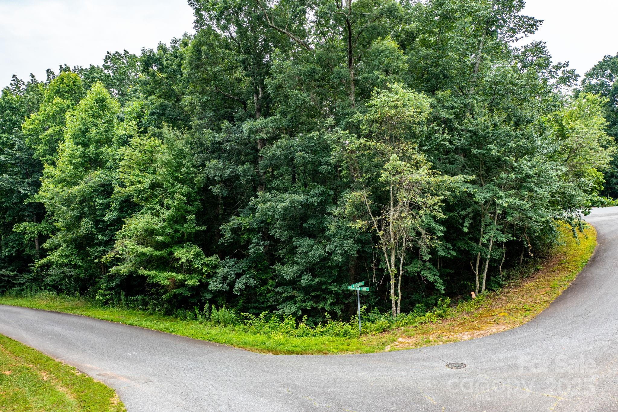 351 I-40 Access Road Hildebran, NC 28637 - Photo 24 of 36 a view of a backyard with swimming pool