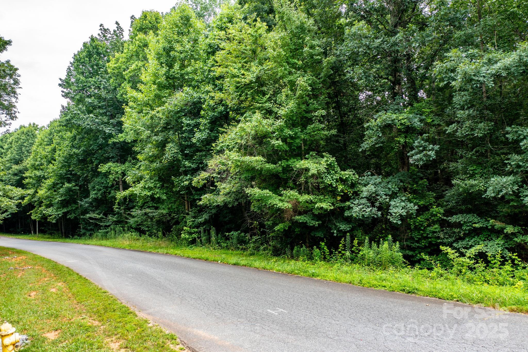 351 I-40 Access Road Hildebran, NC 28637 - Photo 25 of 36 a view of a yard with a house
