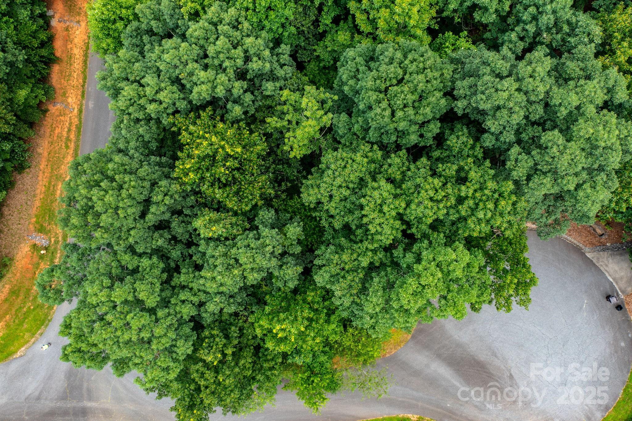 351 I-40 Access Road Hildebran, NC 28637 - Photo 26 of 36 a view of a garden