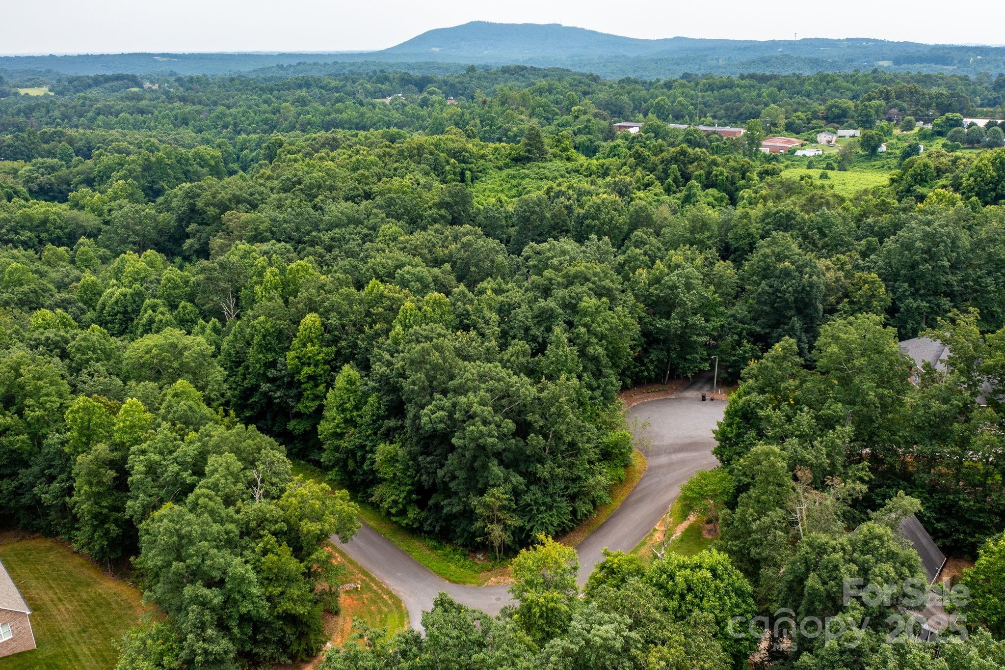 351 I-40 Access Road Hildebran, NC 28637 - Photo 28 of 36 an aerial view of green landscape with trees houses and mountain view