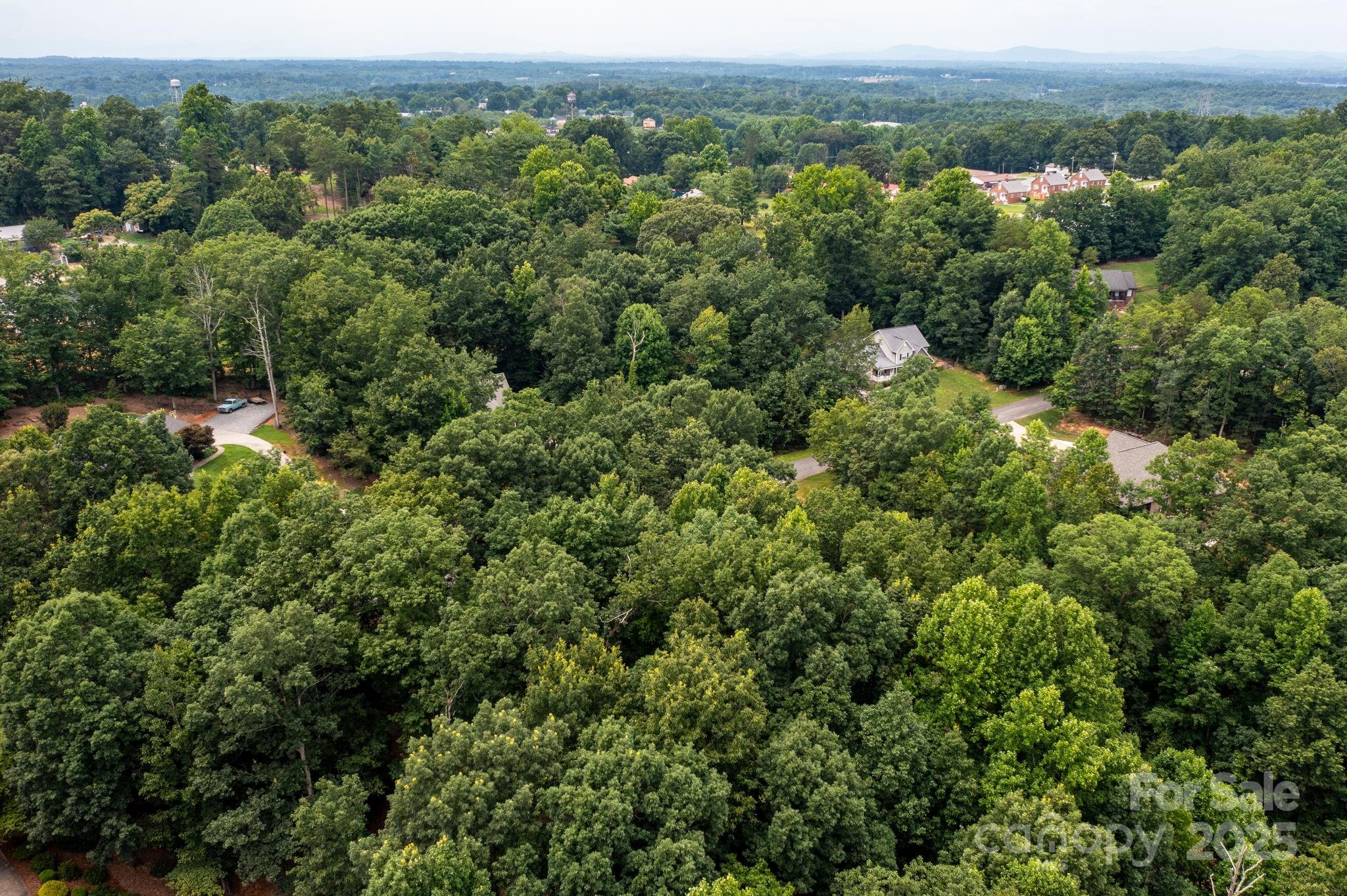 351 I-40 Access Road Hildebran, NC 28637 - Photo 30 of 36 an aerial view of forest