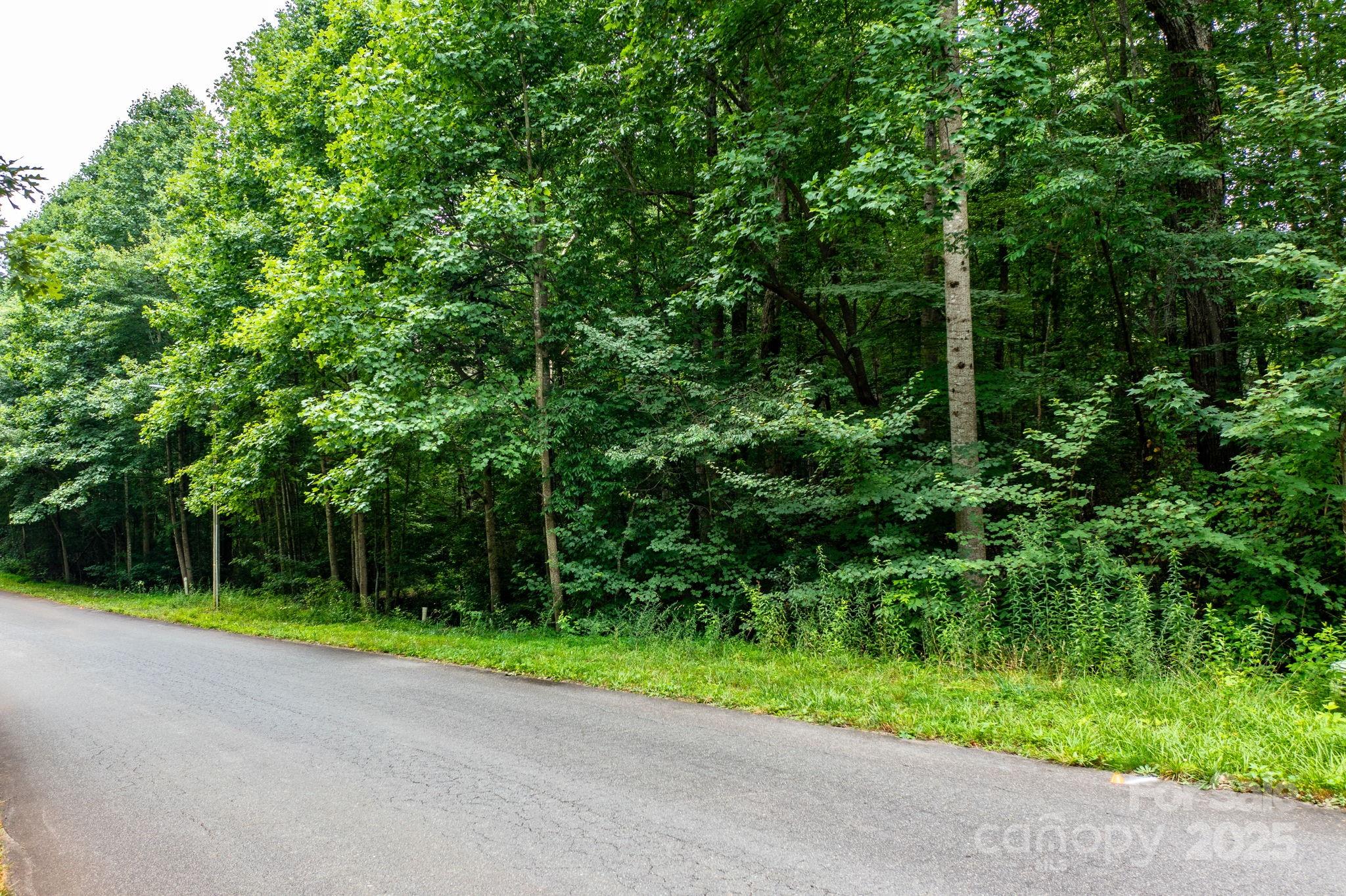 351 I-40 Access Road Hildebran, NC 28637 - Photo 31 of 36 a view of green field with plants and trees