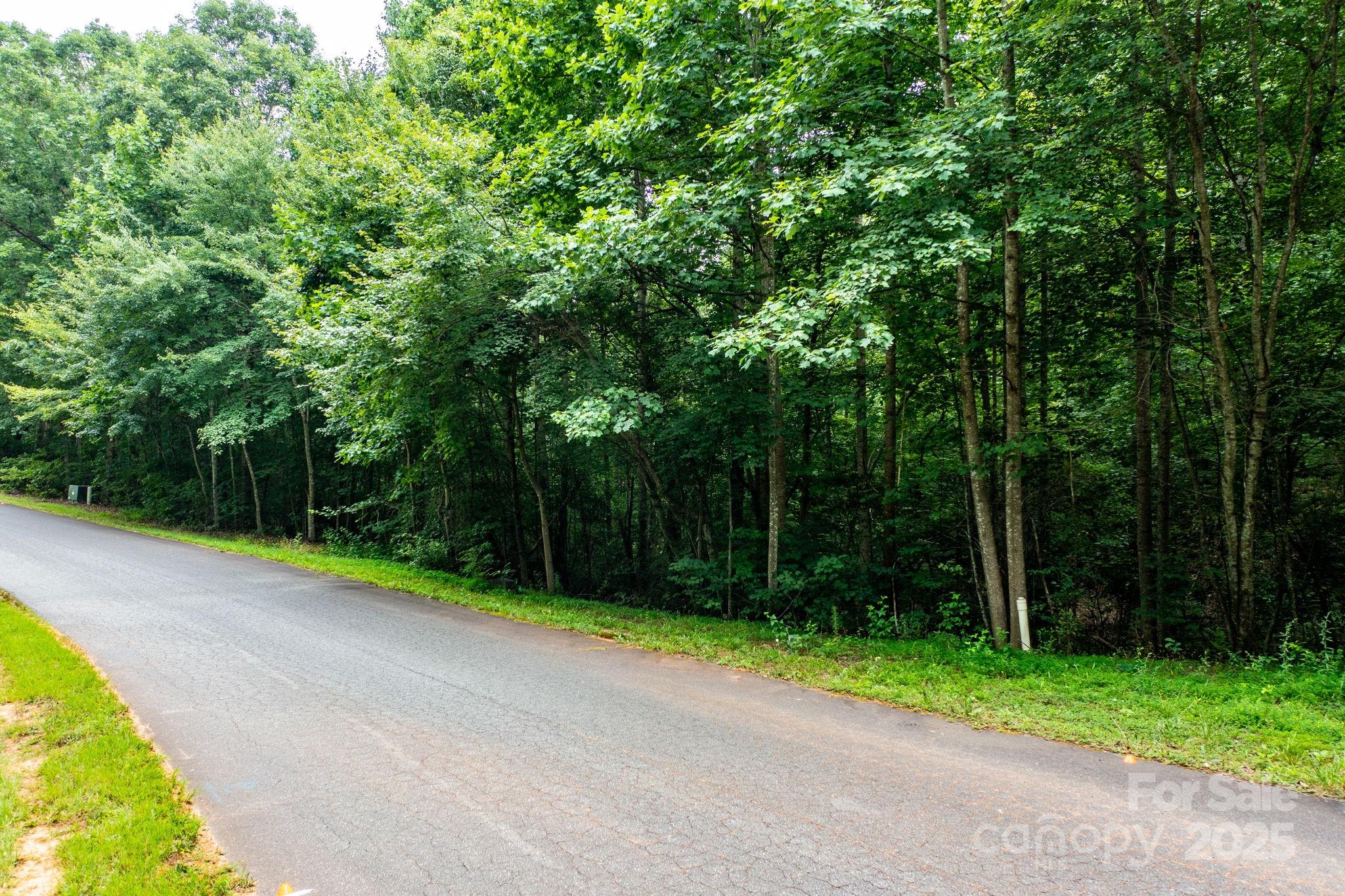 351 I-40 Access Road Hildebran, NC 28637 - Photo 34 of 36 a view of a road with a trees park