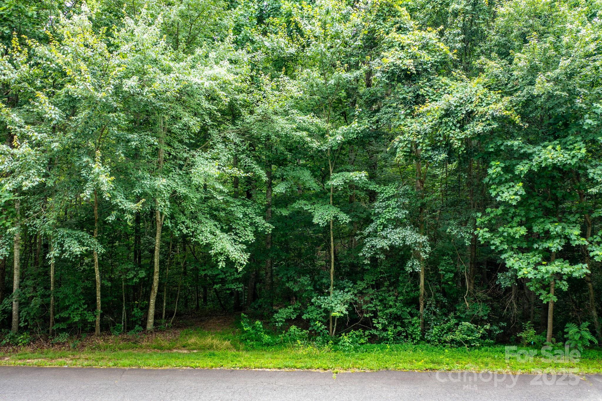 351 I-40 Access Road Hildebran, NC 28637 - Photo 35 of 36 a view of backyard with plants and trees