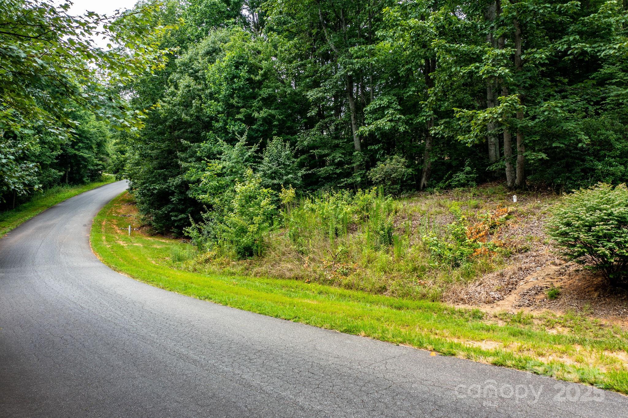 351 I-40 Access Road Hildebran, NC 28637 - Photo 7 of 36 a view of a yard with plants