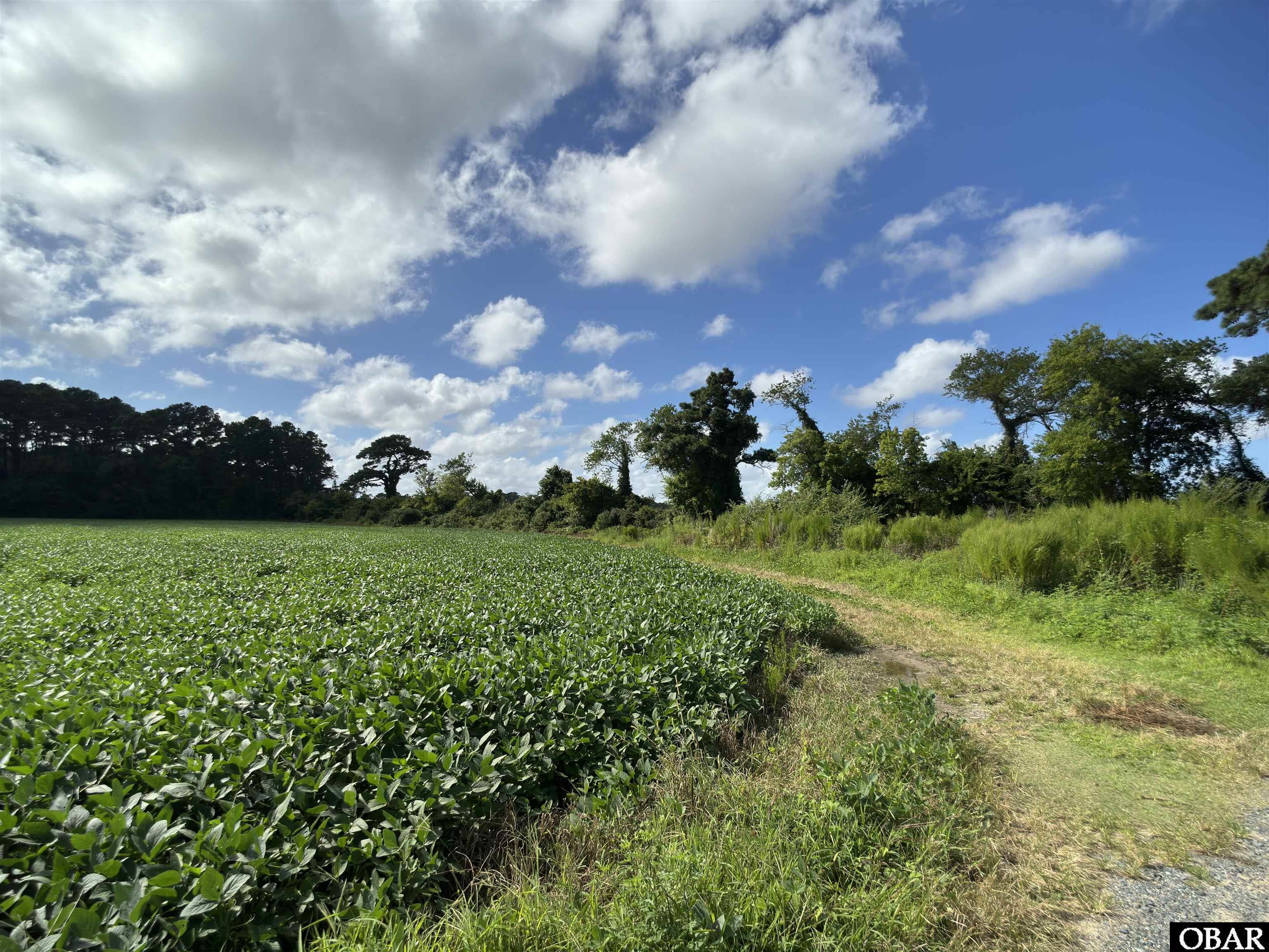 0 Brumley Road Knotts Island, NC 27950 - Photo 9 of 12