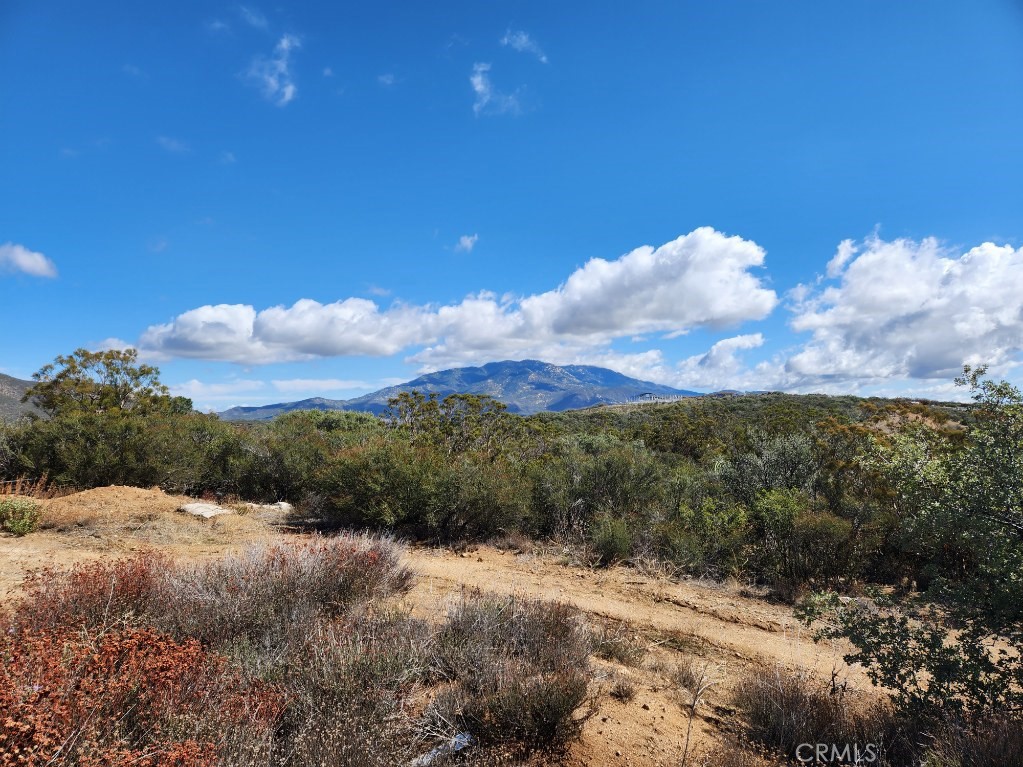 6 Table Mountain Trail Anza, CA 92539 - Photo 4 of 4
