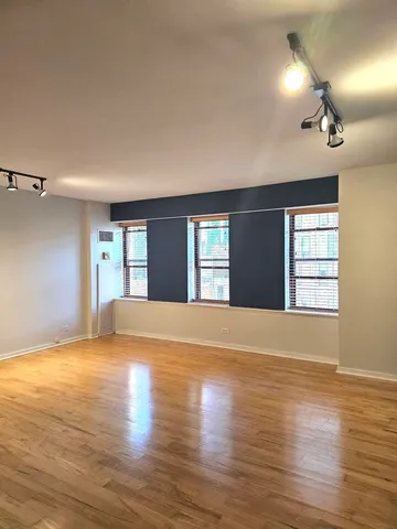 $210,000 | 40 East 9th Street, Unit 1103, Chicago, IL 60605