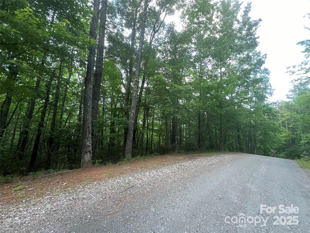 V/l Fox Ridge Trail, Unit 13 Marion, NC 28752 - Photo 2 of 3 a view of a forest with trees in the background