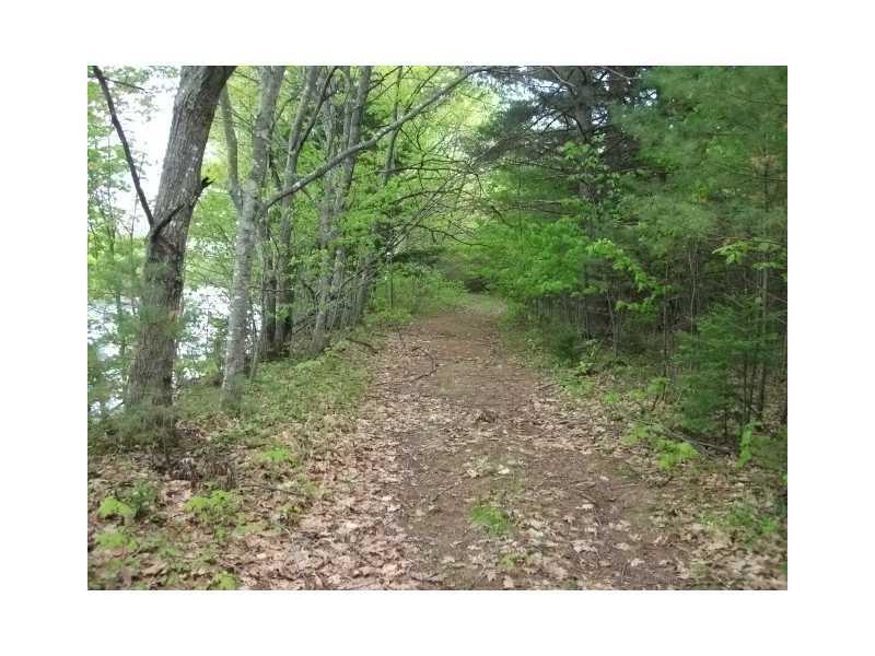 7 Mt Will Farm Road Bethel, ME 04217 - Photo 1 of 6 Land.