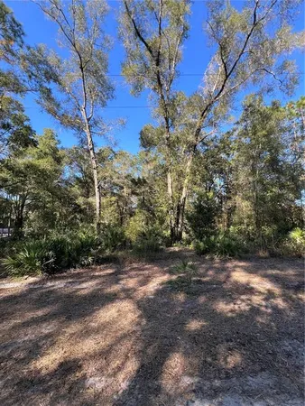 a view of a yard with trees