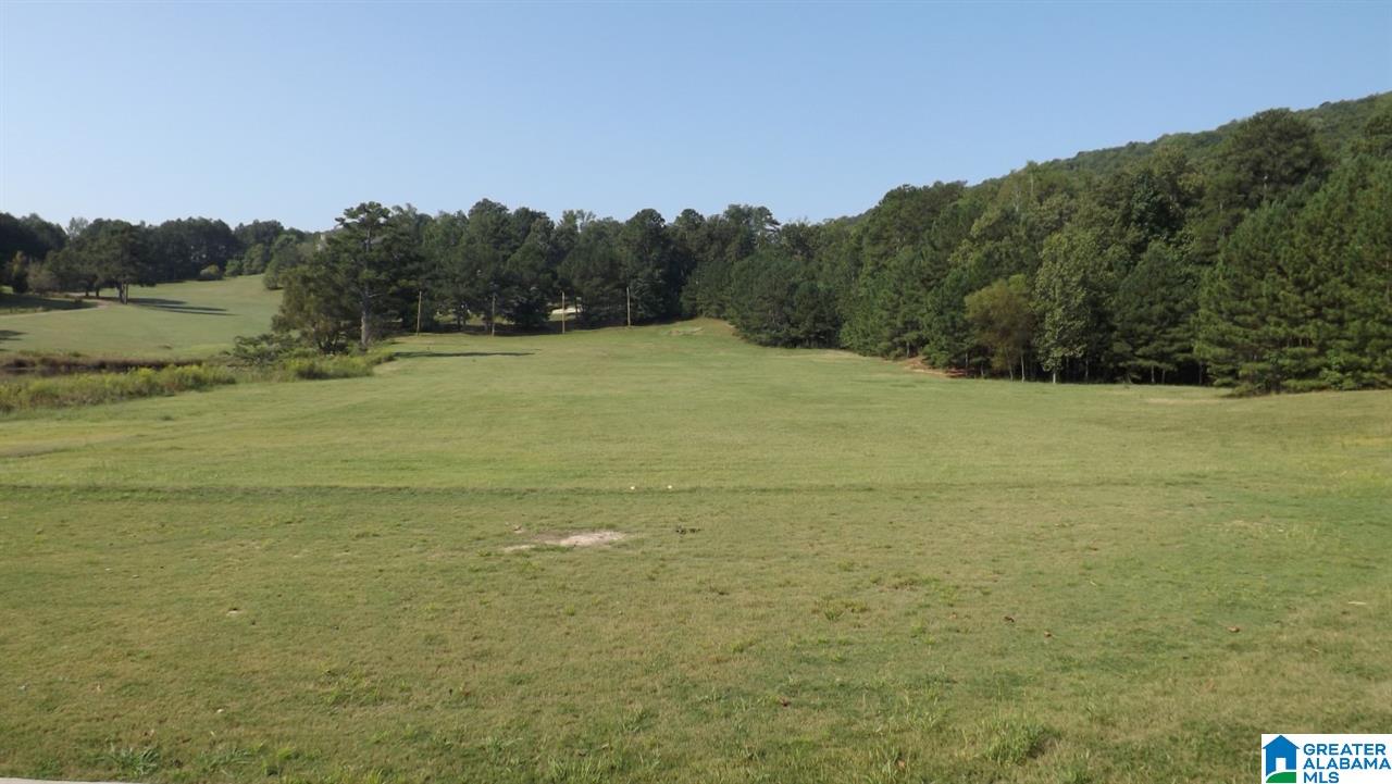 0 Quail Ridge Road, Unit 1 Oneonta, AL 35121 - Photo 3 of 18