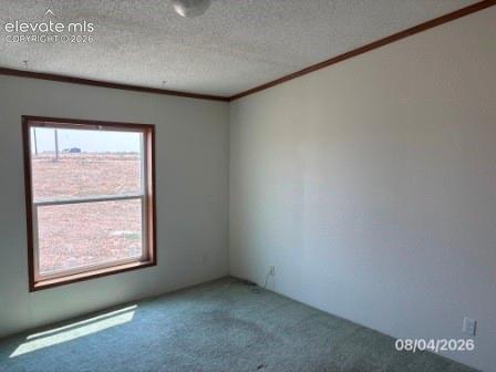 5331 Quail Road Fountain, CO 80817 - Photo 12 of 15 Gallery Image 12