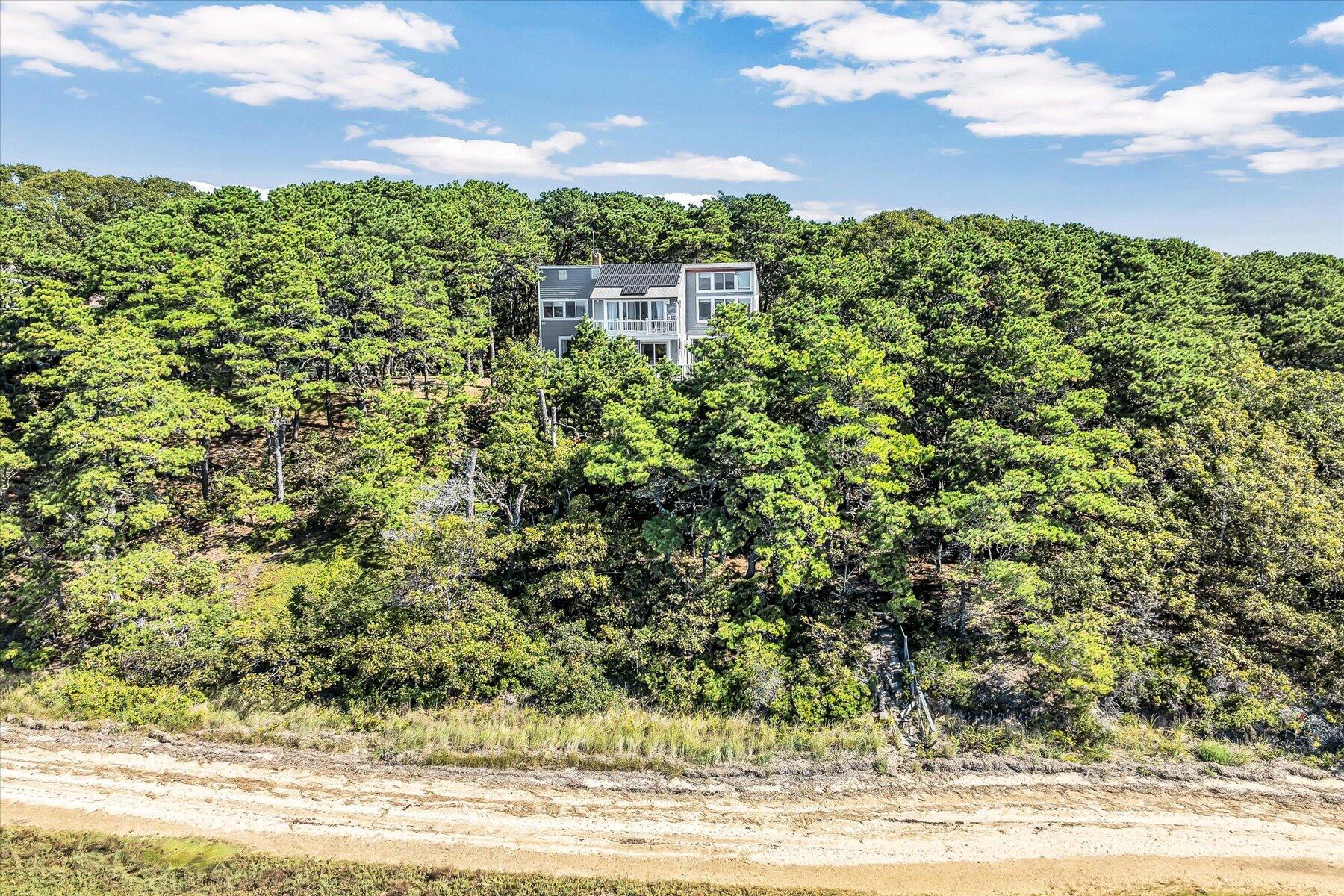 90 Ring Road Wellfleet, MA 02667 - Photo 77 of 86 a view of a yard with an outdoor space