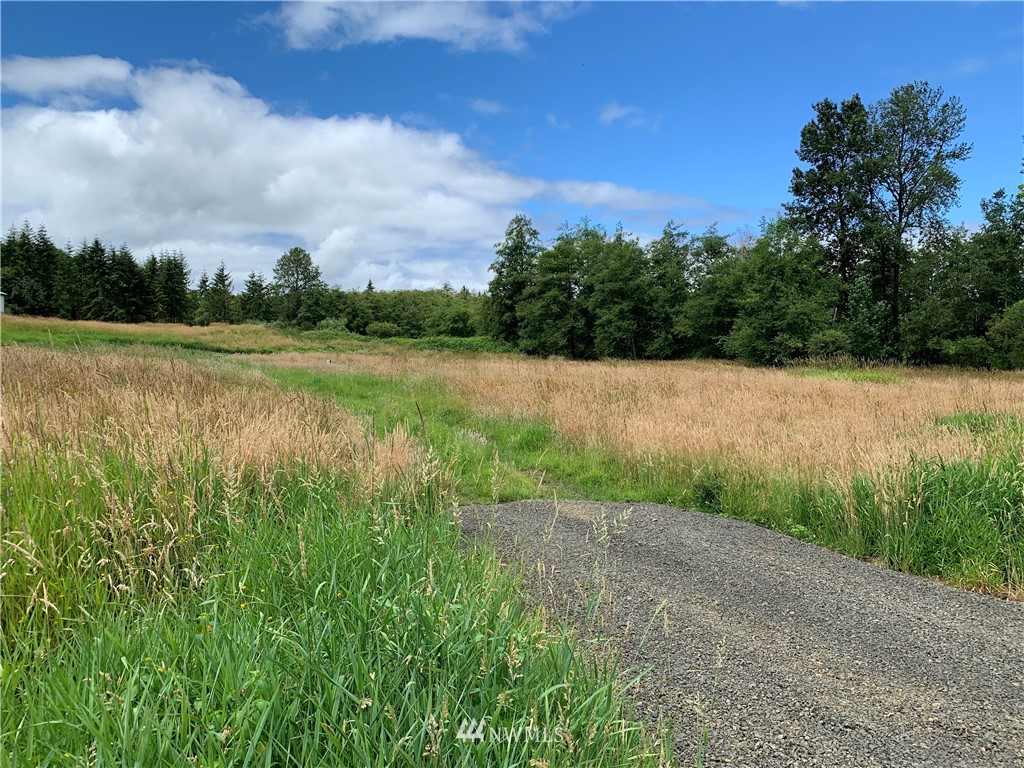 15 Foster Road Cathlamet, WA 98612 - Photo 1 of 3 Gallery Image 1