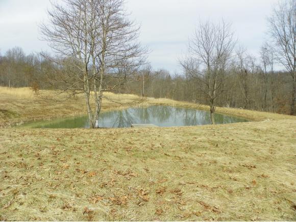 9116 Pence Road Metamora, IN 47030 - Photo 4 of 4 Gallery Image 4