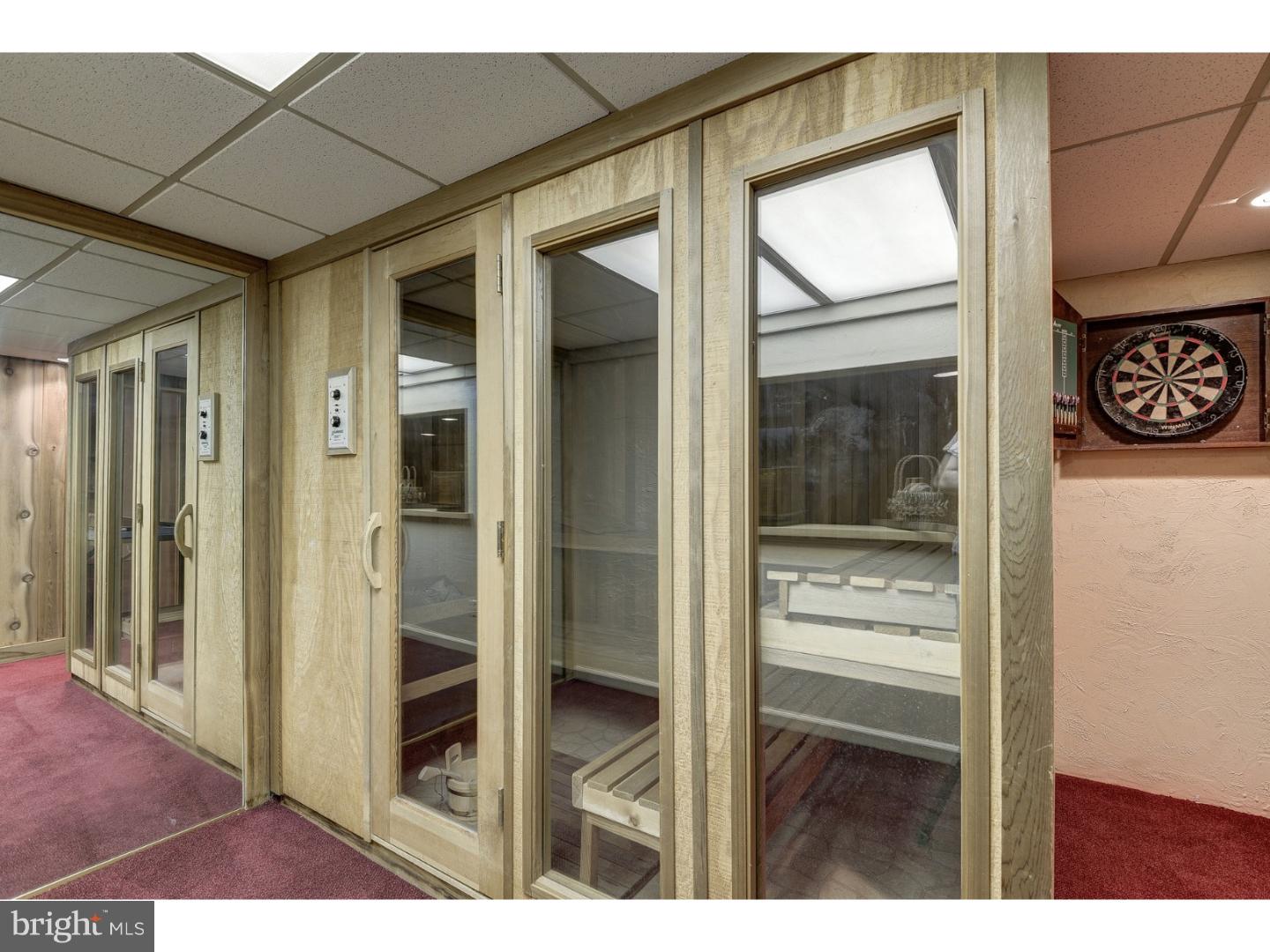 6631 Laurel Road New Hope, PA 18938 - Photo 20 of 24 Sauna
