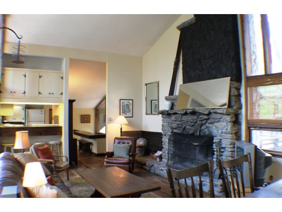 87 Hawk Run Road Pittsfield, VT 05762 - Photo 4 of 20 Gallery Image 4