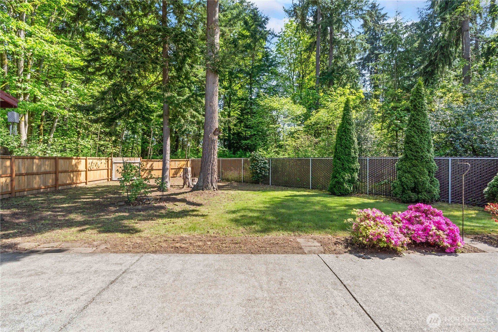 4505 Southwest 317th Place Federal Way, WA 98023 - Photo 17 of 31 a view of a yard with plants and trees
