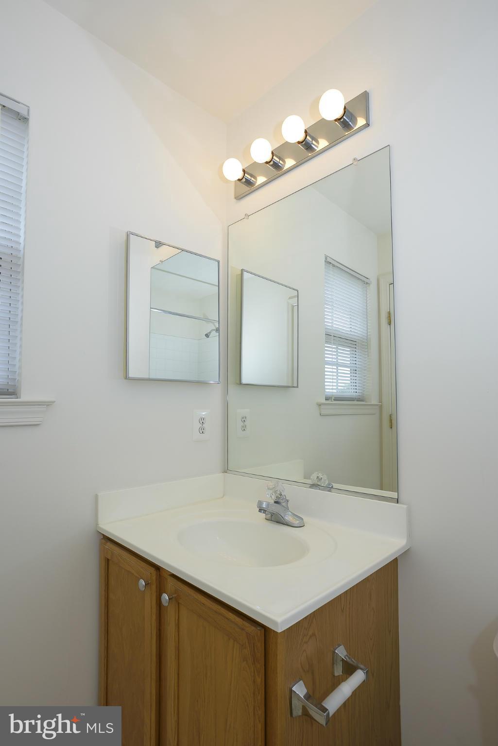 185 Carolstowne Road Reisterstown, MD 21136 - Photo 14 of 29 Owners Bathroom Vanity