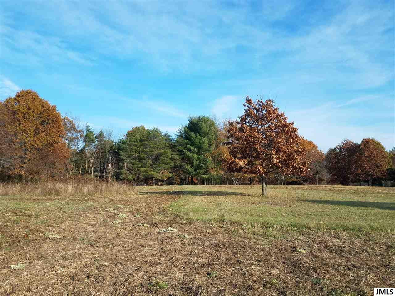 0 Easton Road Rives Junction, MI 49277 - Photo 10 of 12 Photo 10