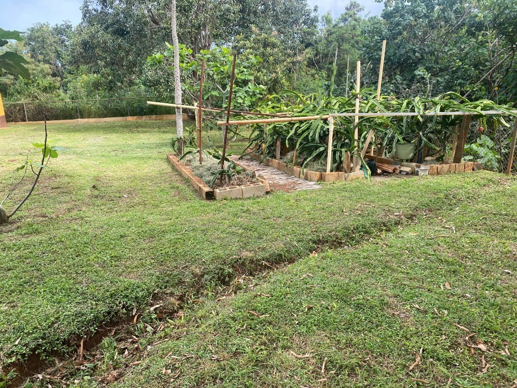 4793 Nonou Road Kapaa, HI 96746 - Photo 11 of 12 a view of a park