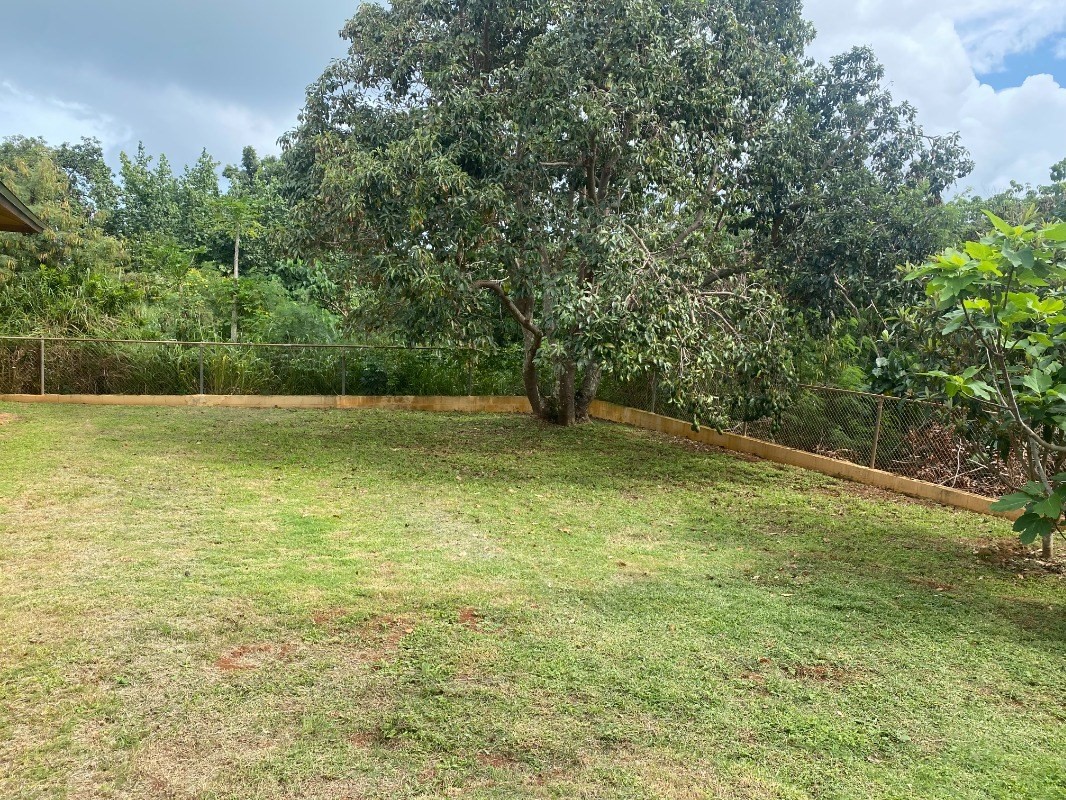 4793 Nonou Road Kapaa, HI 96746 - Photo 10 of 12 a view of outdoor space and yard