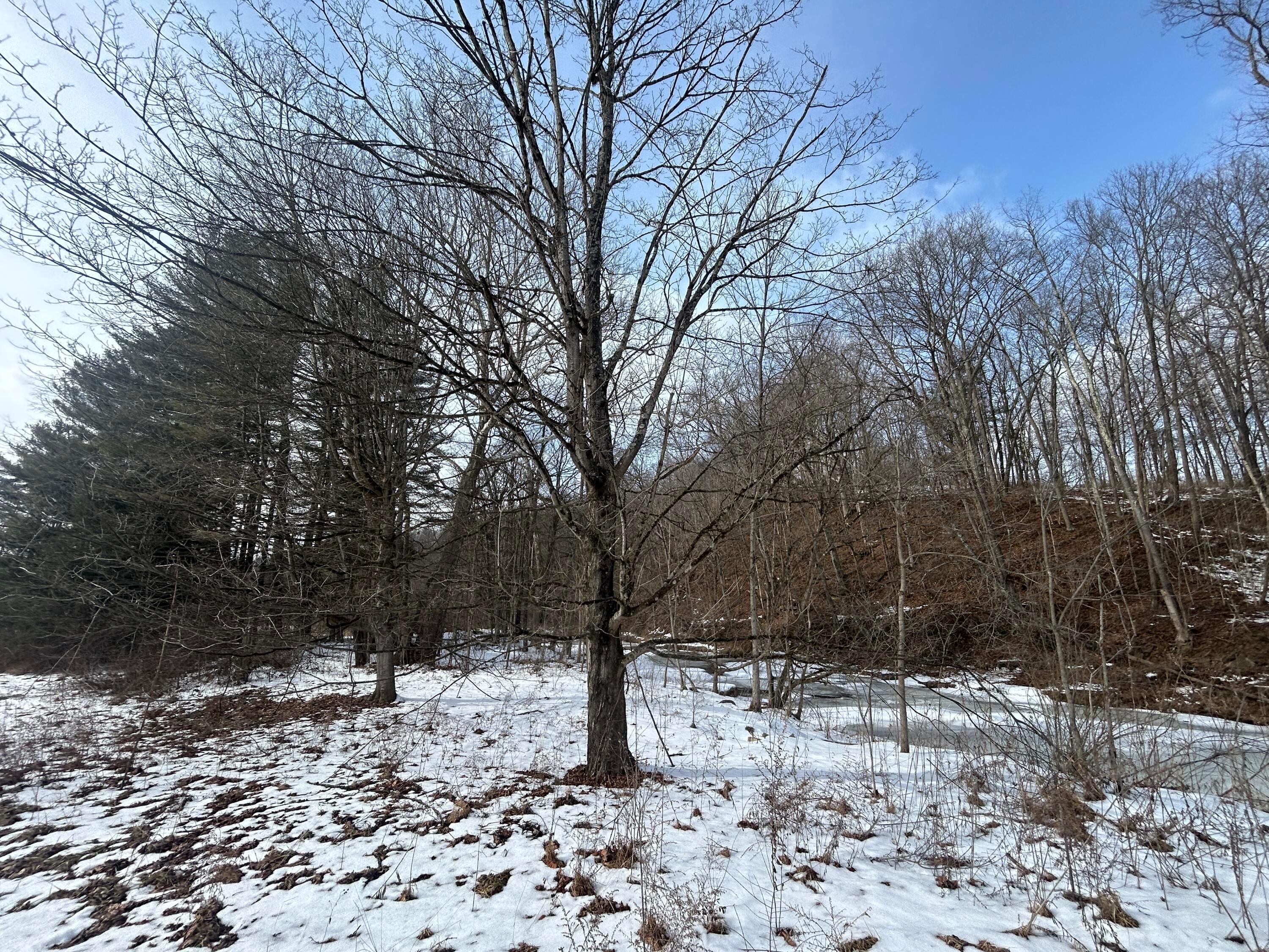 18474 Frampton Road Frazeysburg, OH 43822 - Photo 21 of 31 IMG_9644