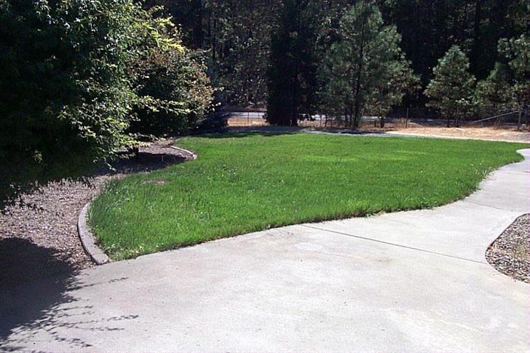 5075 West Side Road Cave Junction, OR 97523 - Photo 6 of 22 front yard