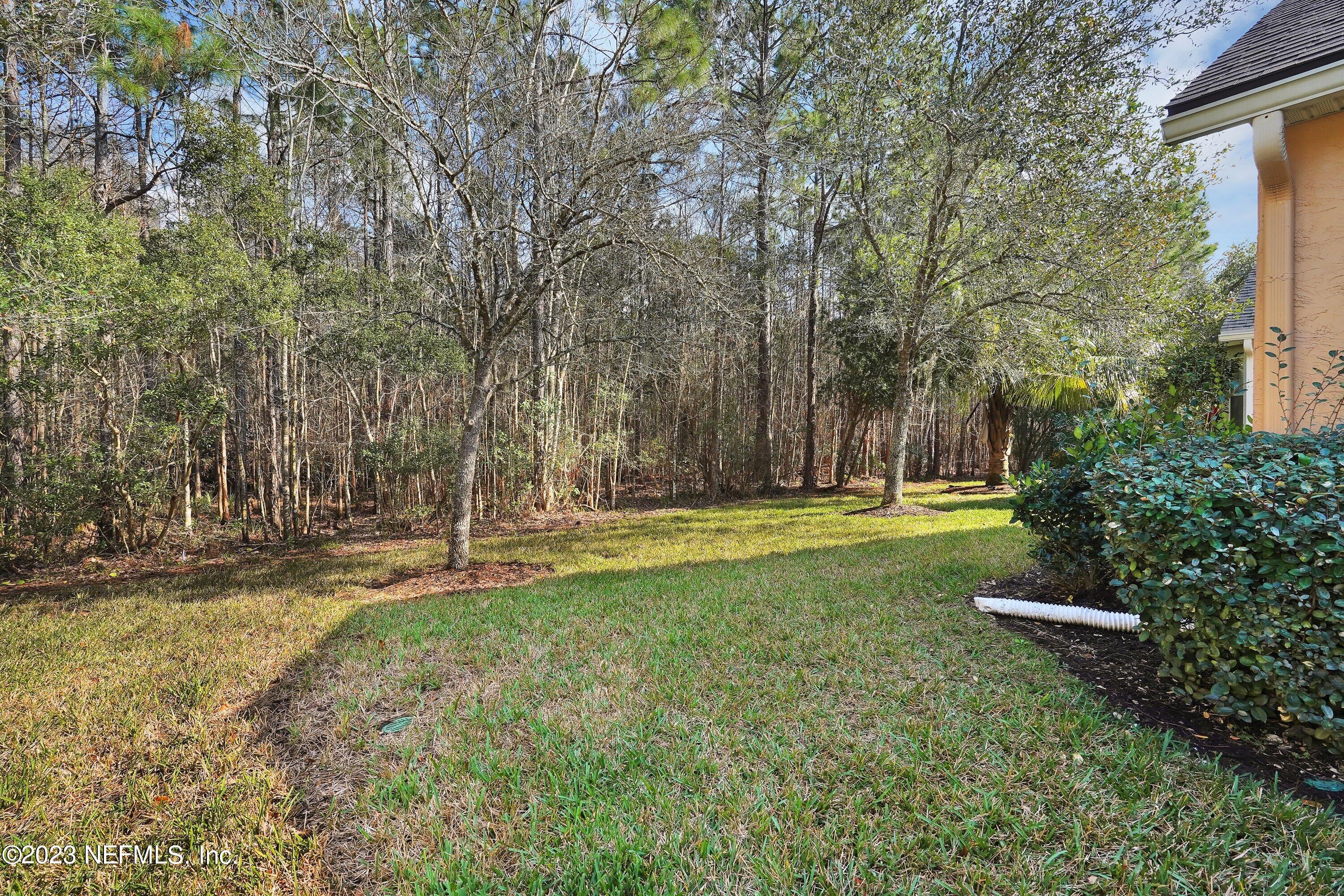 746 Copperhead Circle St. Augustine, FL 32092 - Photo 23 of 40 a view of a backyard with large trees