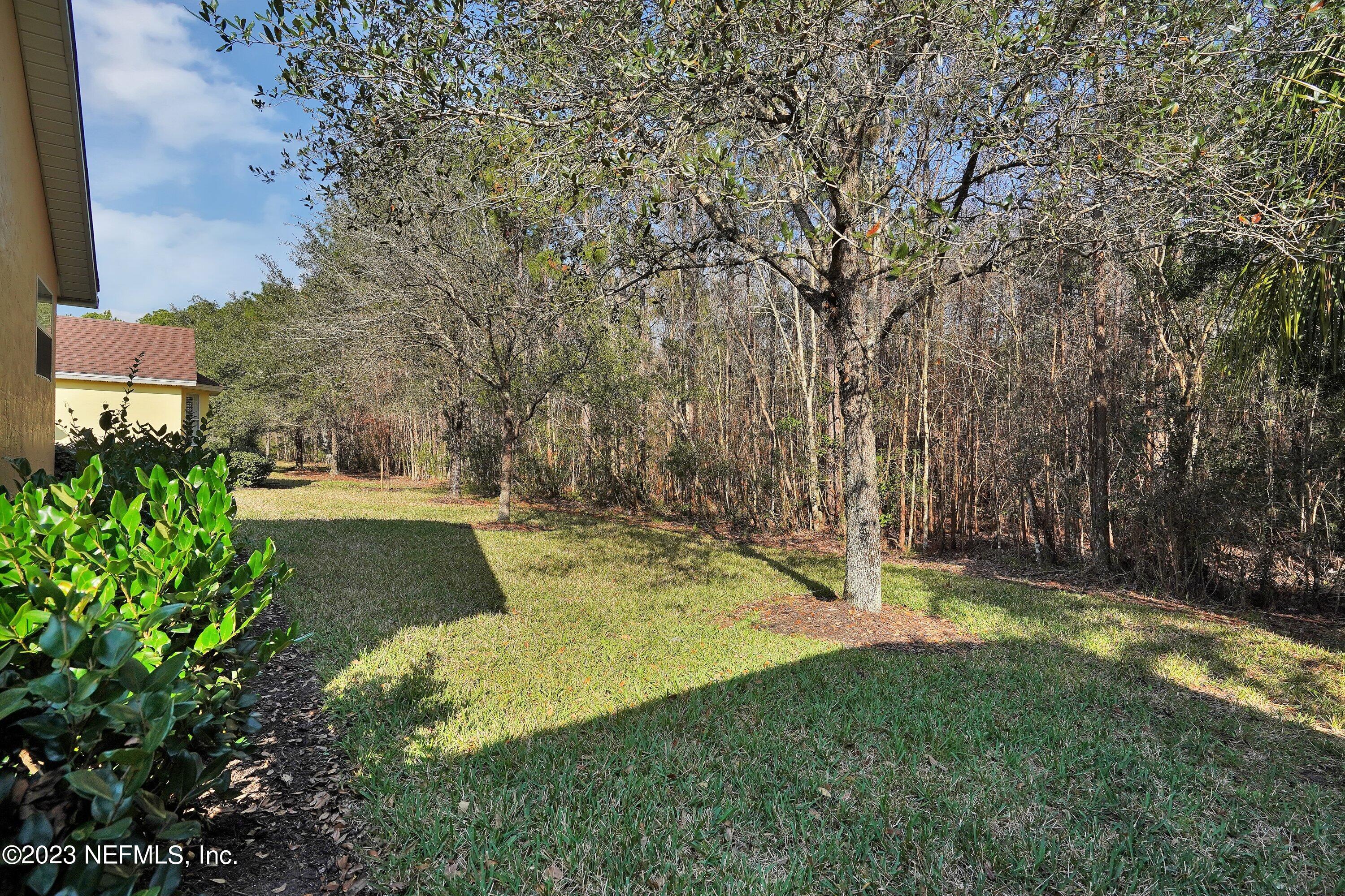 746 Copperhead Circle St. Augustine, FL 32092 - Photo 25 of 40 a view of a yard with plants and a tree