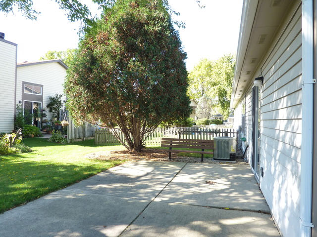 1820 77th Street Naperville, IL 60565 - Photo 17 of 18 a view of a park with a large trees