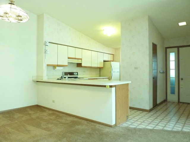 1820 77th Street Naperville, IL 60565 - Photo 5 of 18 a bathroom with a sink and a mirror