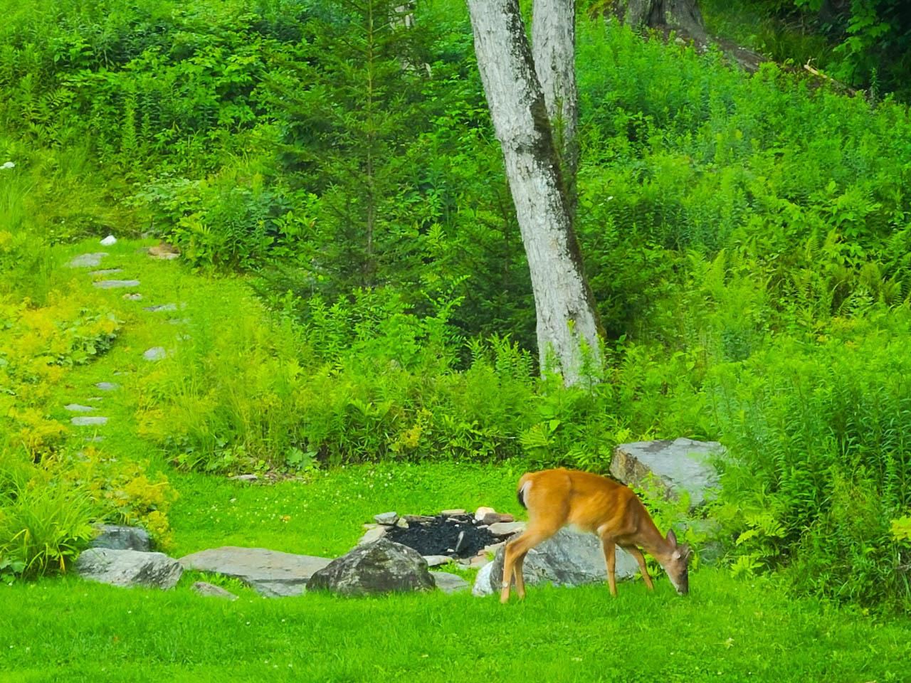 349 Rumble Road Warren, VT 05674 - Photo 6 of 40