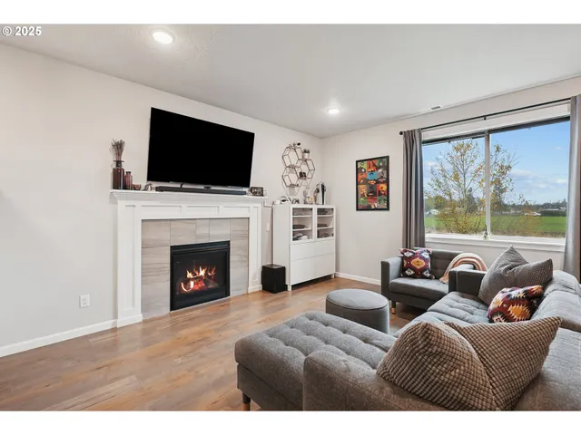 a living room with furniture a flat screen tv and a fireplace