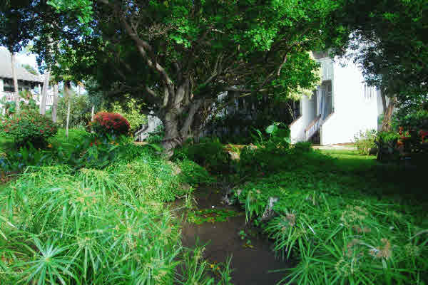 2721 Poipu Road, Unit 532 Koloa, HI 96756 - Photo 23 of 25 Gallery Image 23