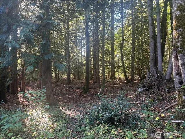 $300,000 | 45450 State Rte 20, Concrete, WA 98237