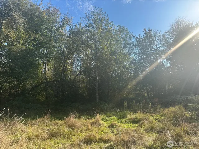 a view of outdoor space and trees