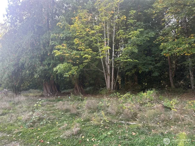 a view of a big yard with lots of green space and mountain view