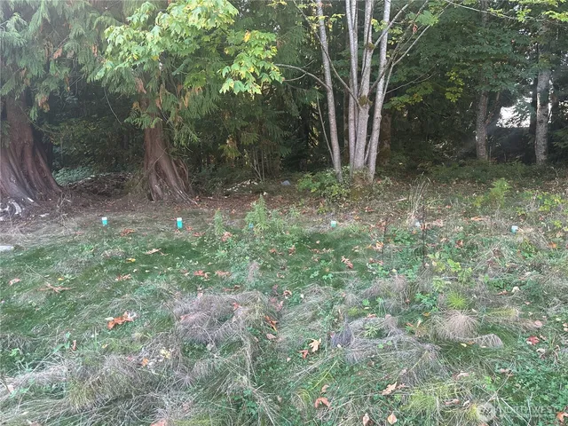 a view of backyard of house