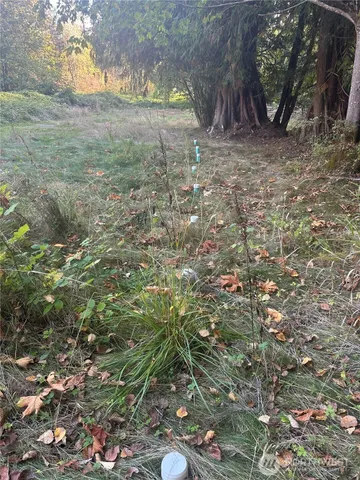 a view of a green field with a tree in the background