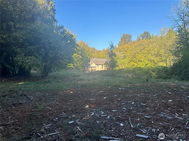 a view of a forest with trees in the background