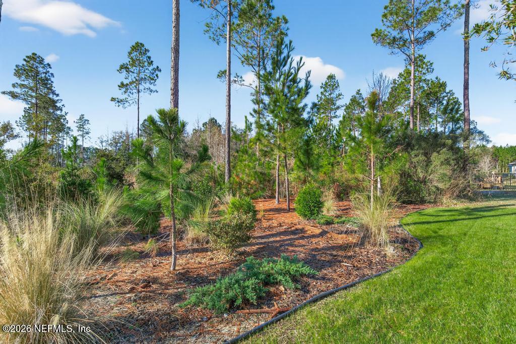 75226 Red Twig Way Yulee, FL 32097 - Photo 88 of 116 75226 Red Twig-96