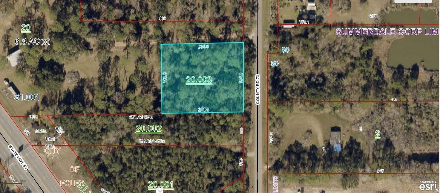 15649 County Road 73 Foley, AL 36535 - Photo 2 of 5